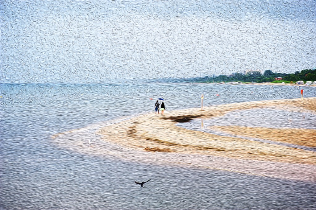 Digital Photography