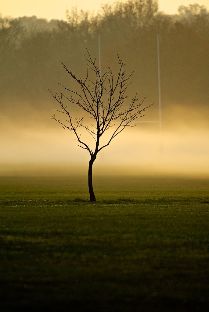 “Forno Pane Pasta”,  One Morning on the Streets of Bologna