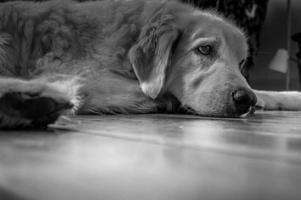 I should buy more powerful speakers?  Reflections listening to some new music around…