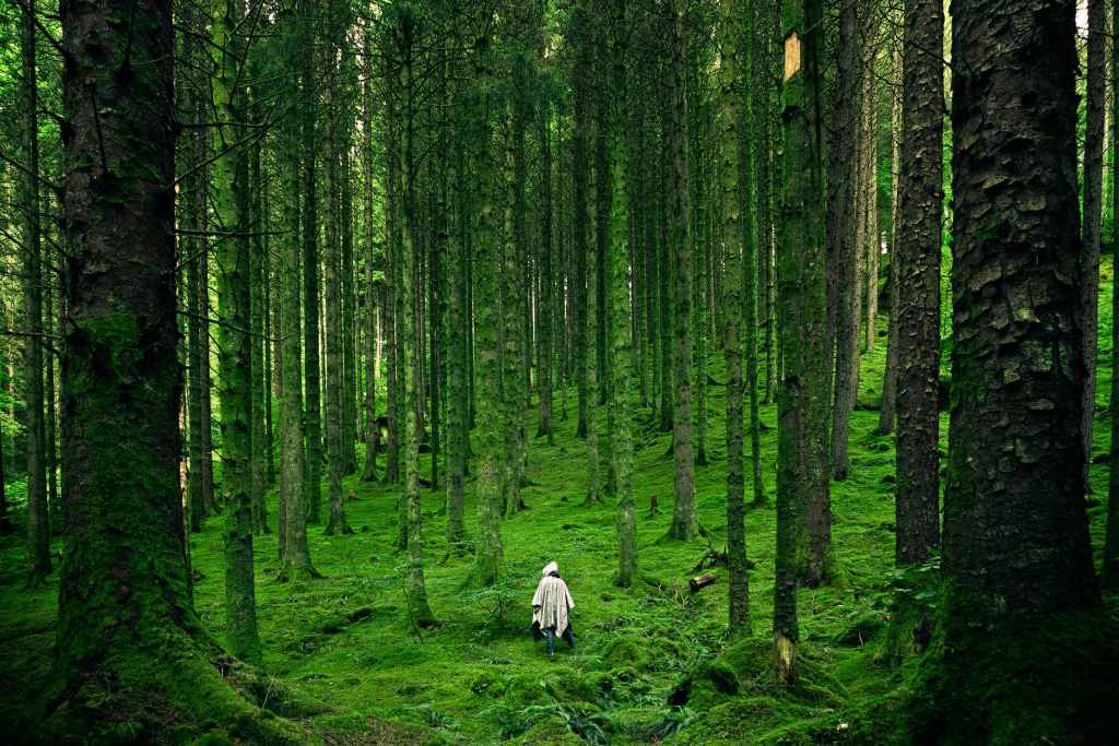 person walking between ordinary day