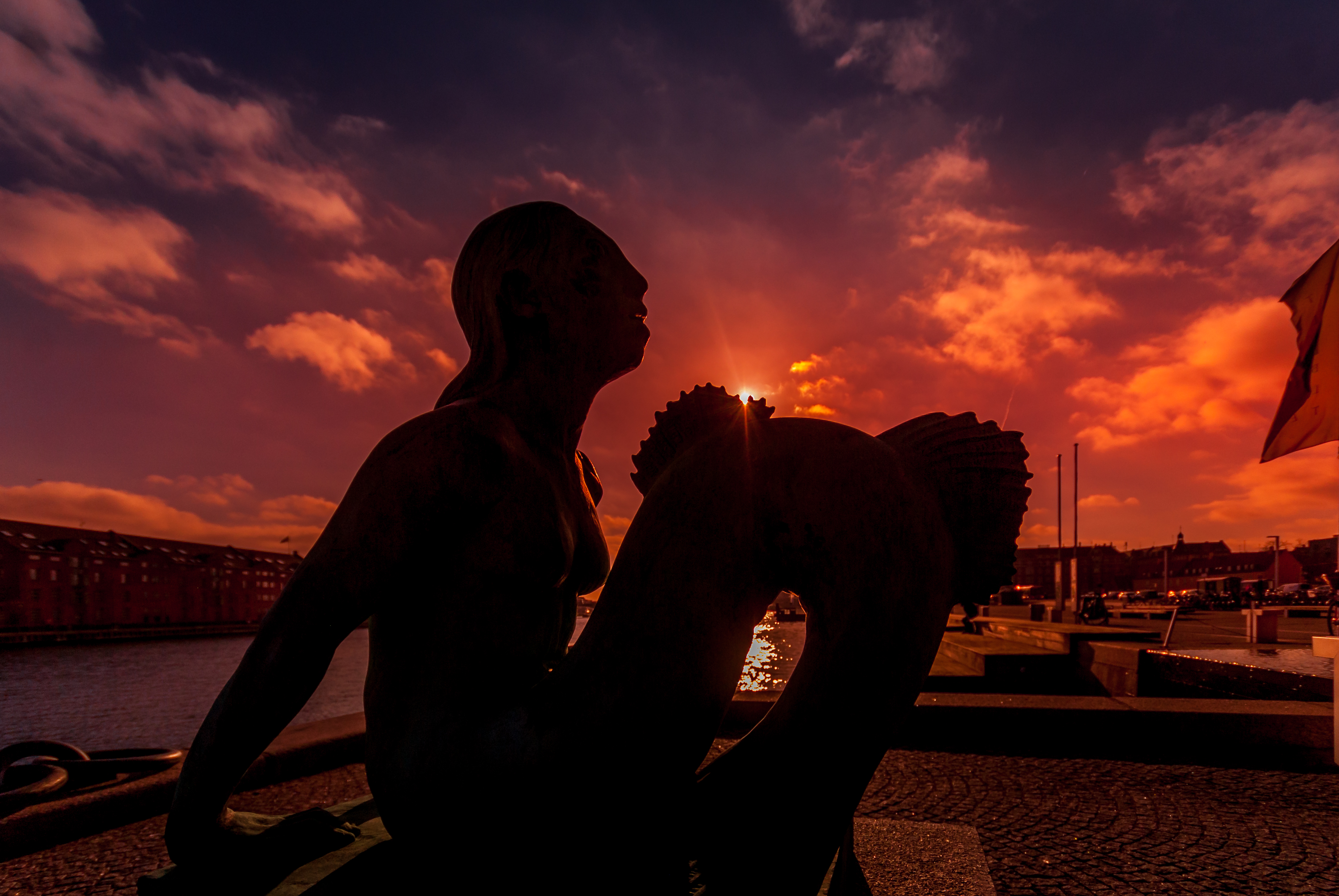 6de95 untitled 1082 1