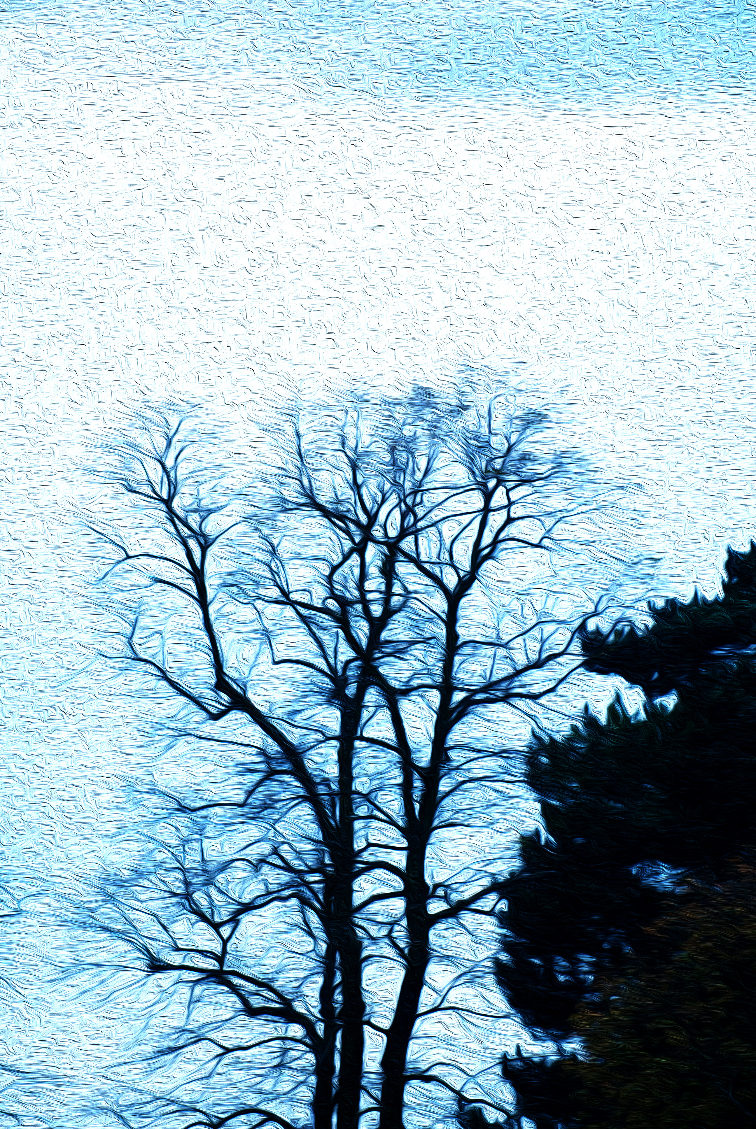 c22b7 holland park 145