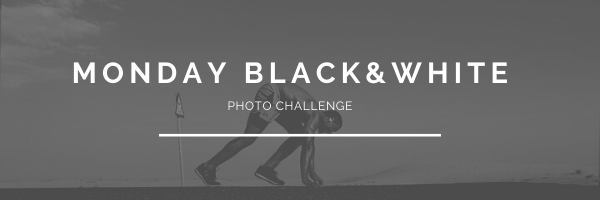 Monday Black and White