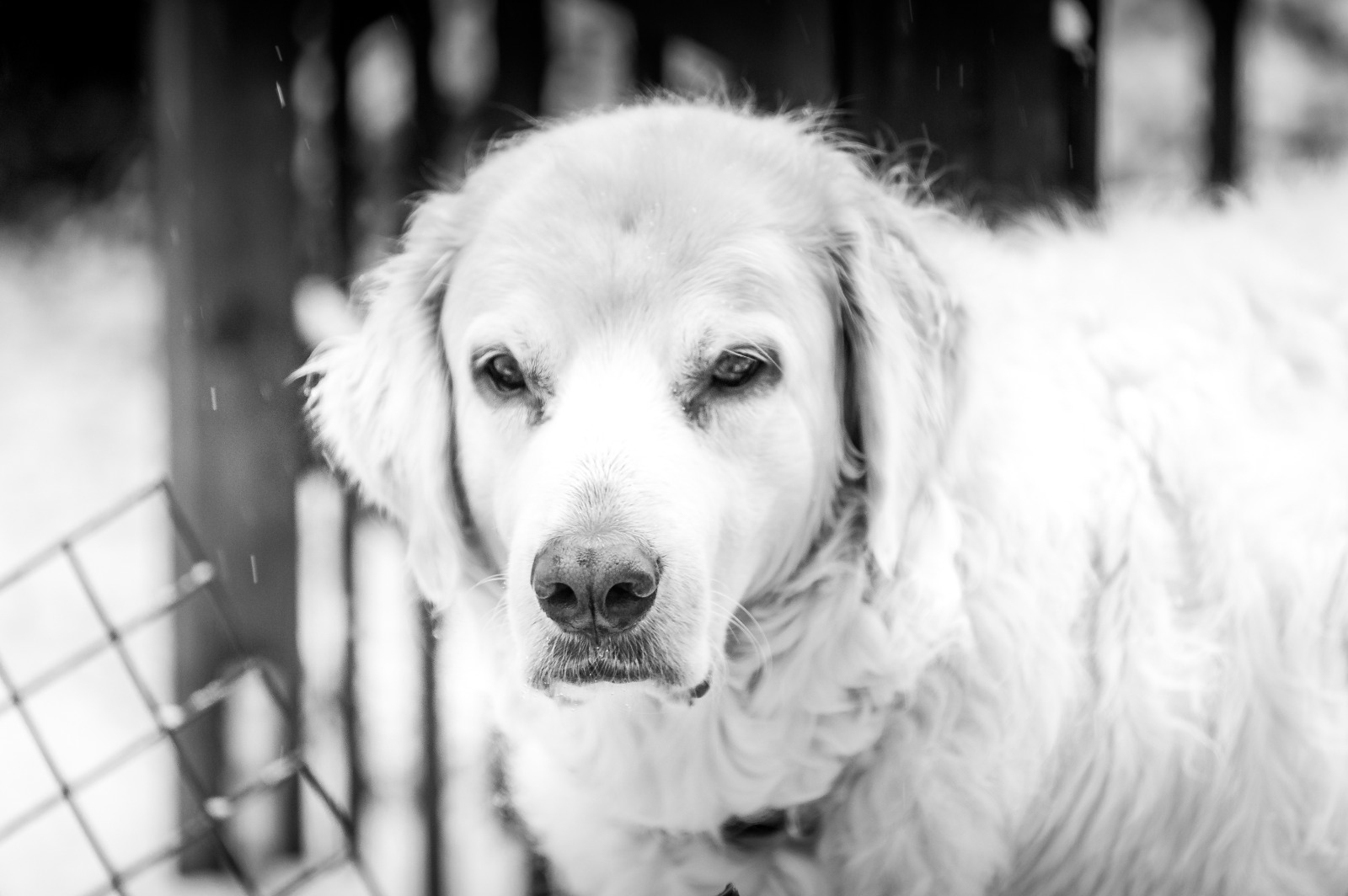 e110e 320f51cd bf35 4493 9b48 af35b8f0f7fc