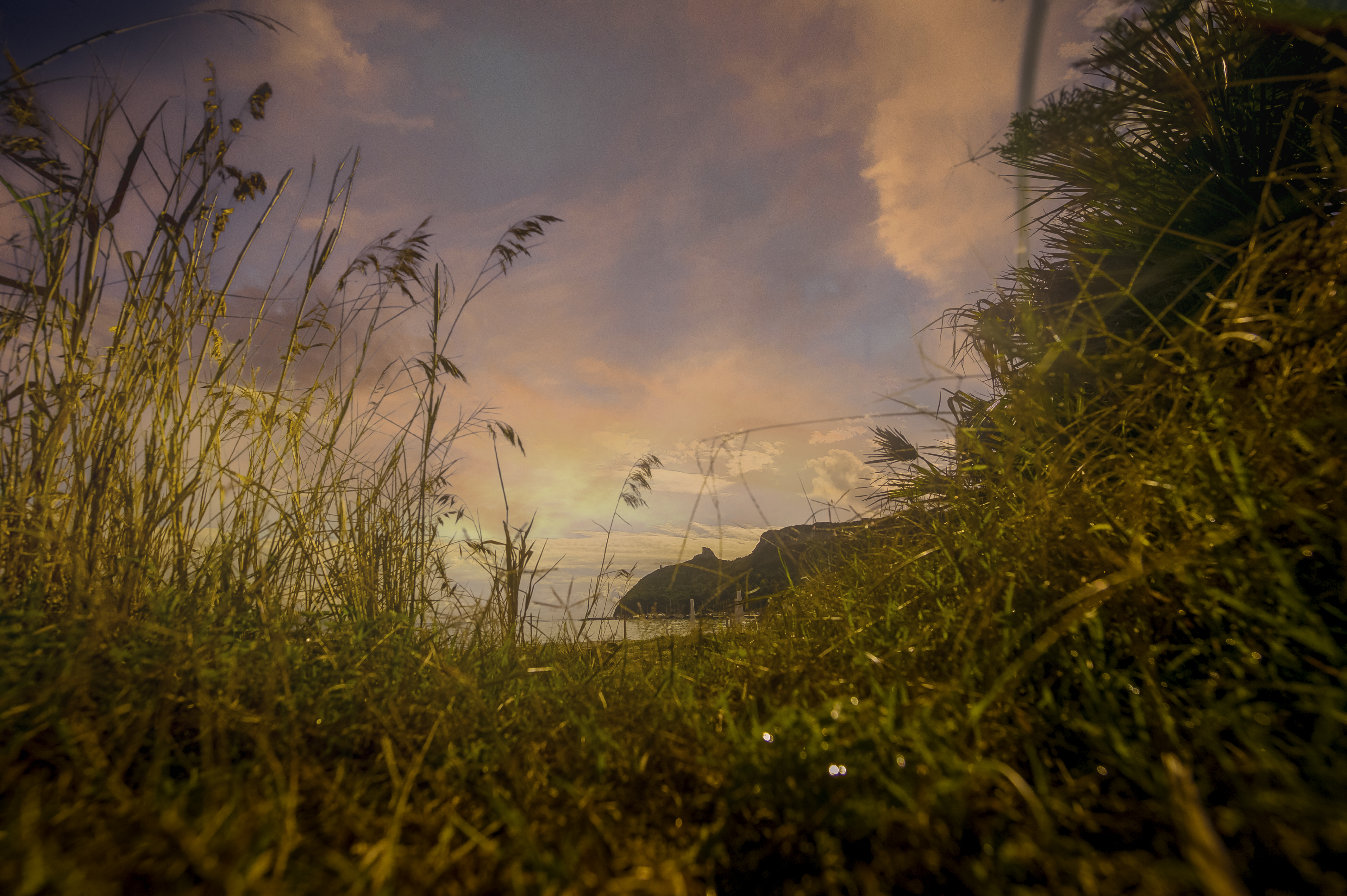 Time to think about Christmas