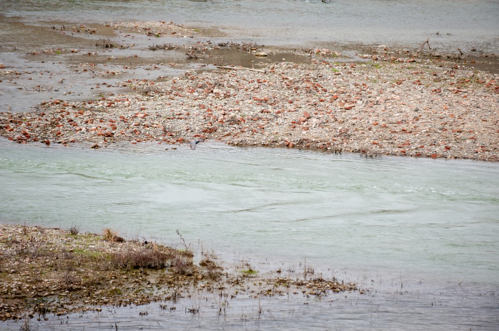 2fd6e alessandria bianco e nero 11