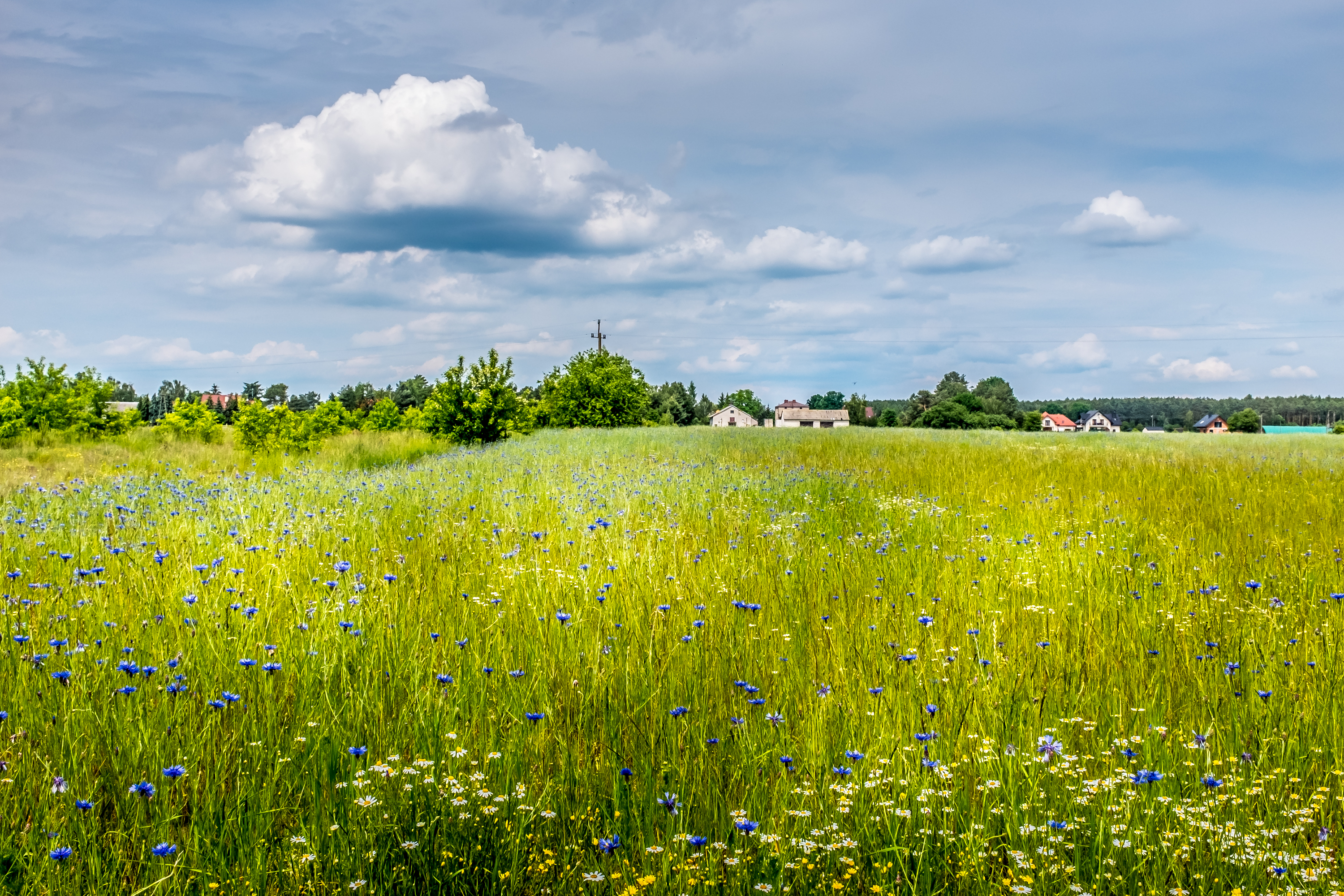 309a9 50028389016 f47edc65b1 o