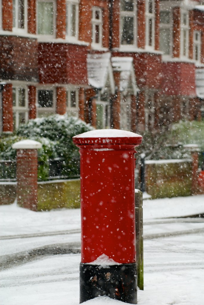 Rekindle: A Symphony of Awakening, Passion, and Resilience 8 ecd81 8393573544 f1c5386d28 o 1