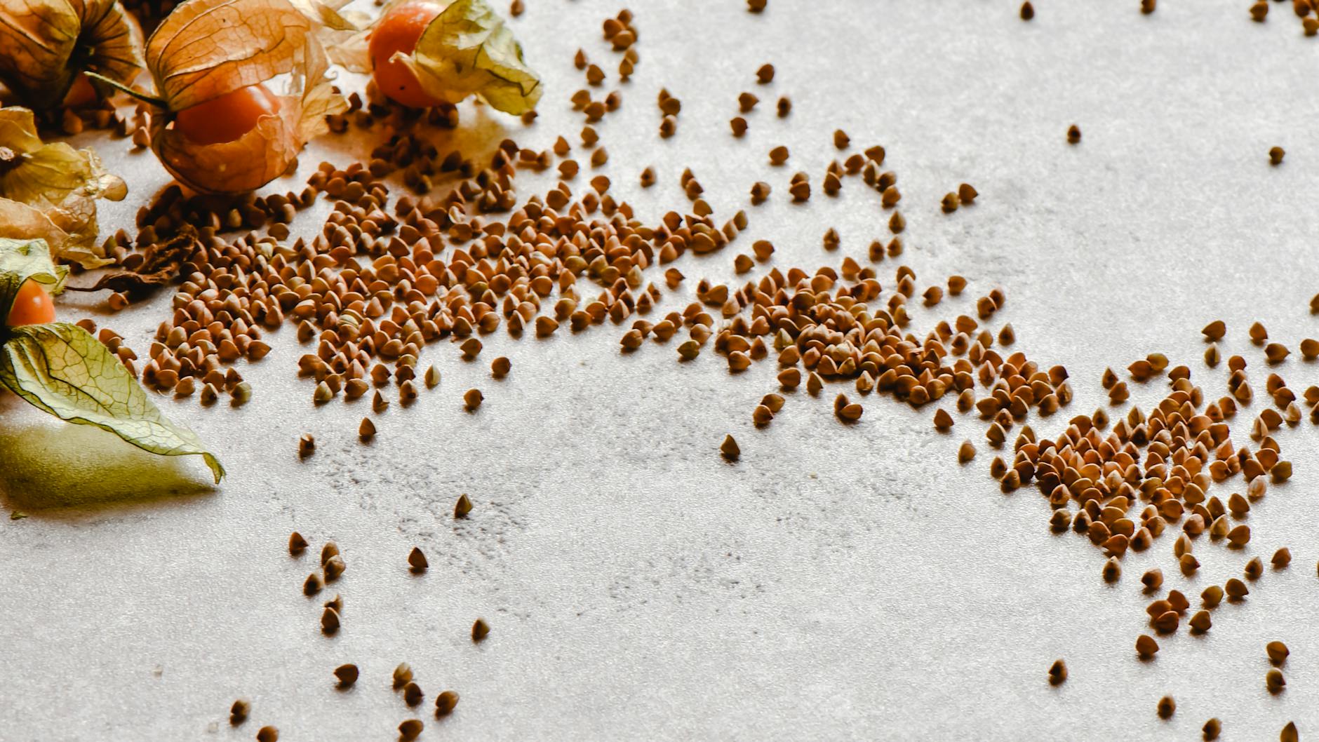 scattered raw buckwheat