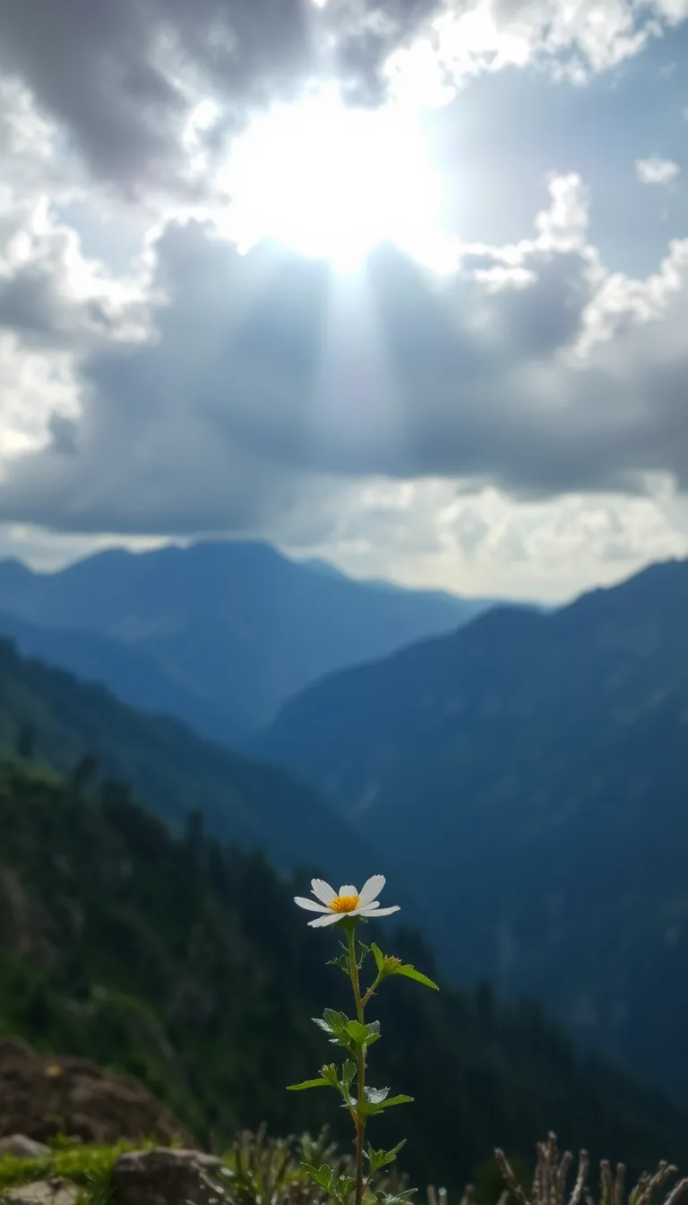 10 Life Quotes That Will Change Your Perspective Forever! - Urban Mood ...
