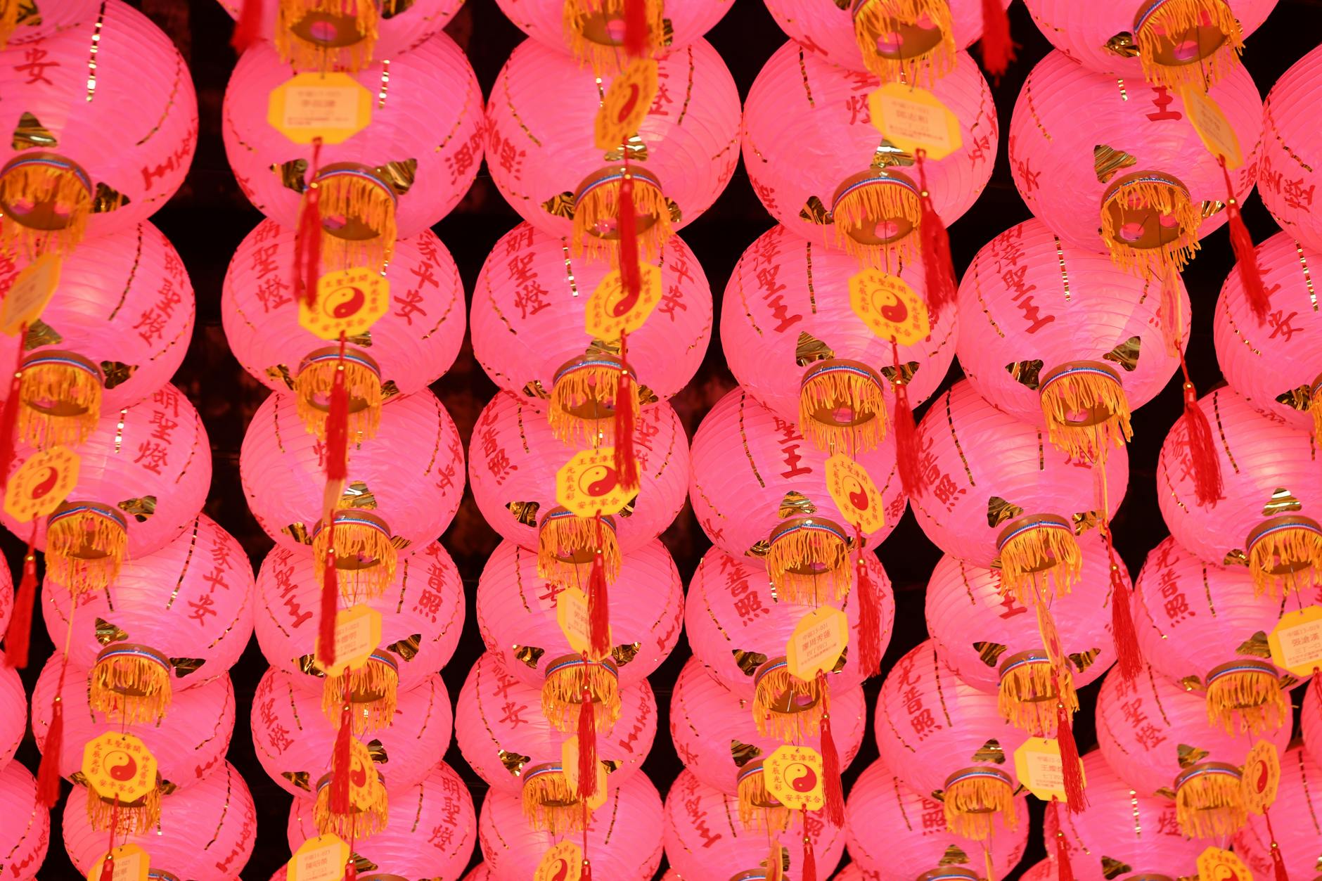 vibrant pink lanterns illuminating a traditional festival