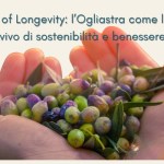 Cultures of Longevity – l’Ogliastra diventa laboratorio mondiale della longevità