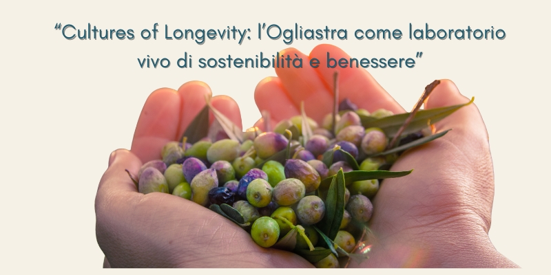 Your paragraph text 800 x 400