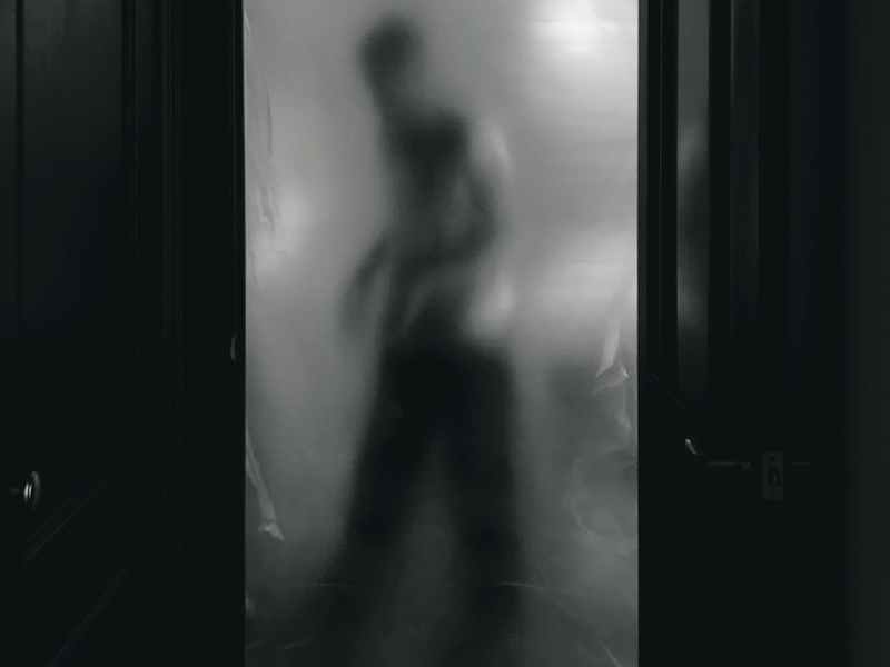 figure on a doorway covered in translucent plastic