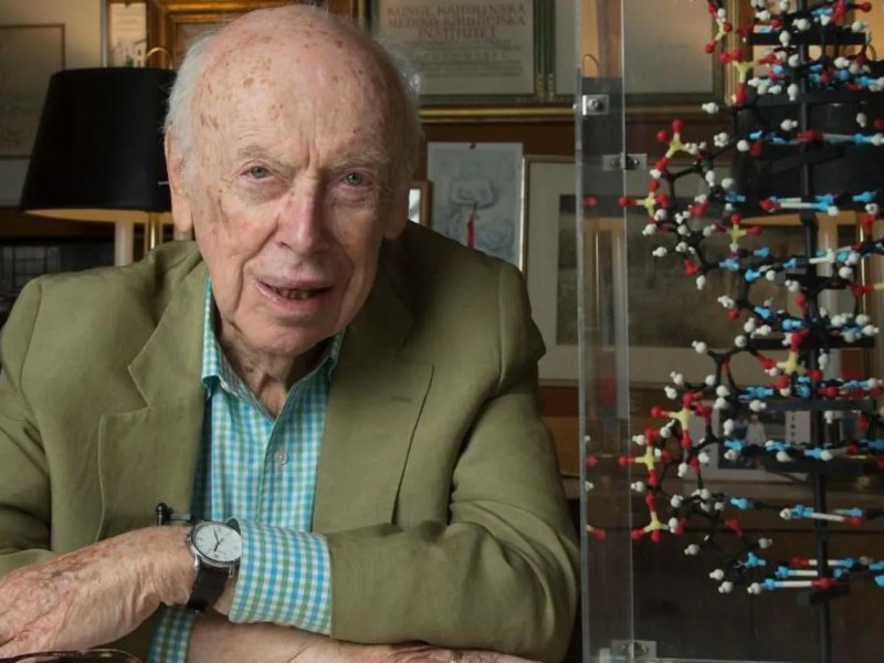 48b4d9e0 bc76 11f0 b5e1 3386252dffc6.jpg