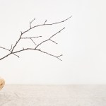 Nie musisz się podobać.