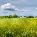 Vivere Bene Oggi: guida completa al benessere fisico, mentale ed emotivo nella vita moderna