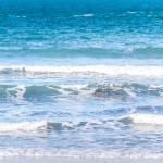 Da Palermo al Mediterraneo: scienza, biodiversità e innovazione nel progetto Interreg NEXT Italia–Tunisia