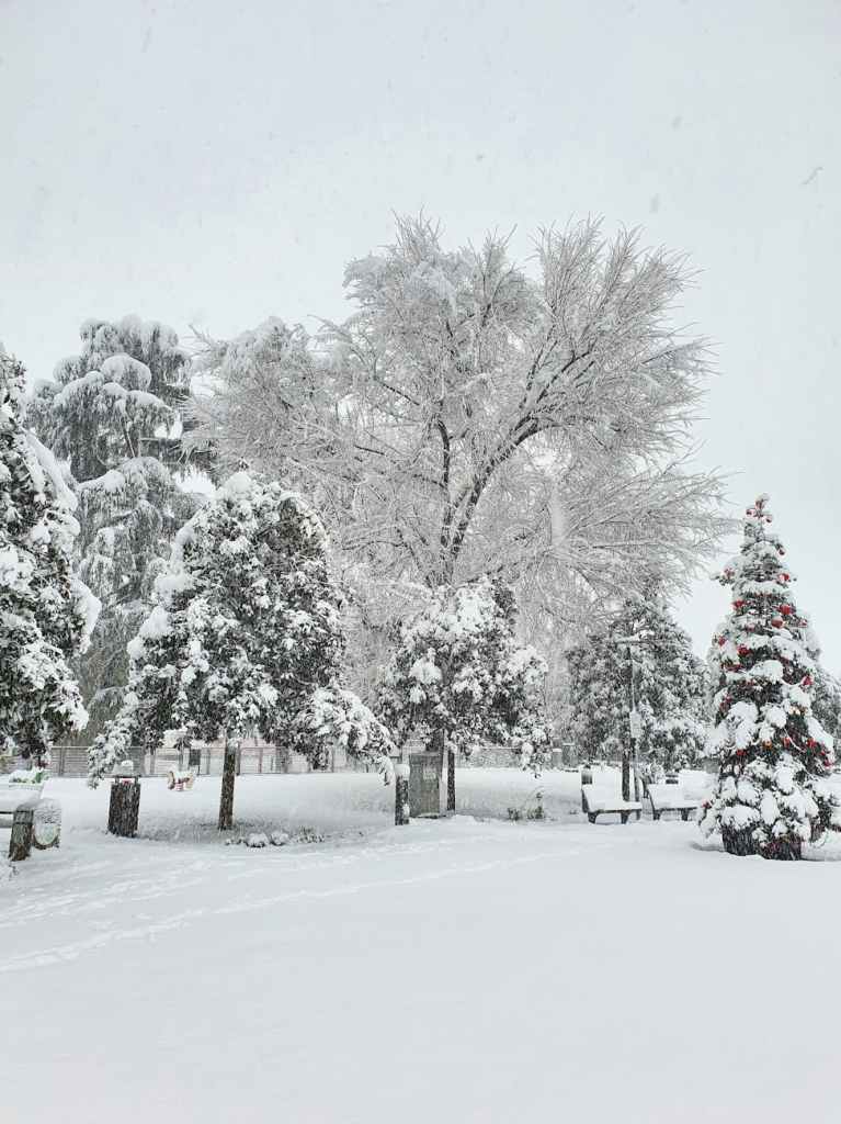 Inverno wonderland in caponago park lombardia