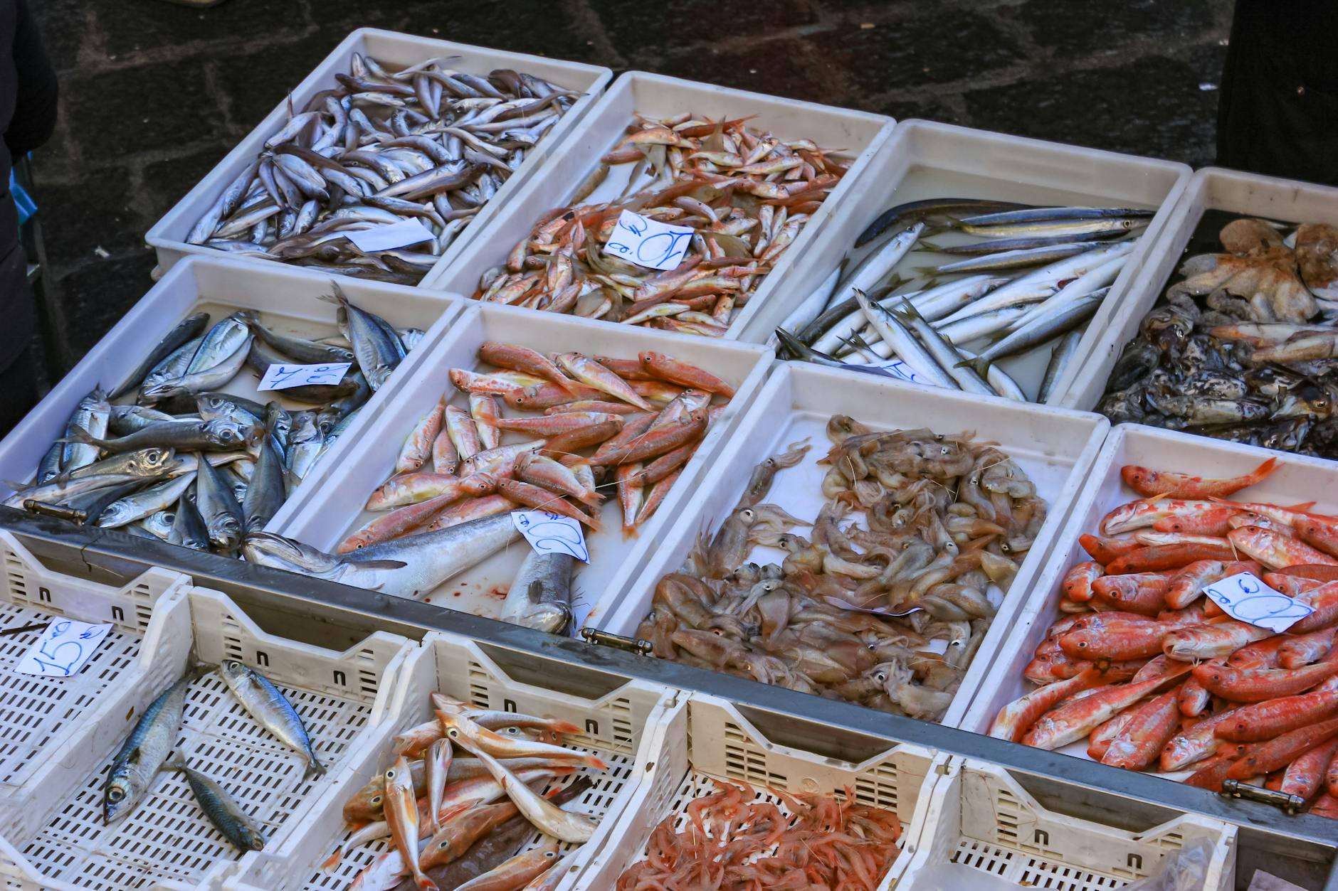 La longevità non è un mistero genetico né una moda alimentare