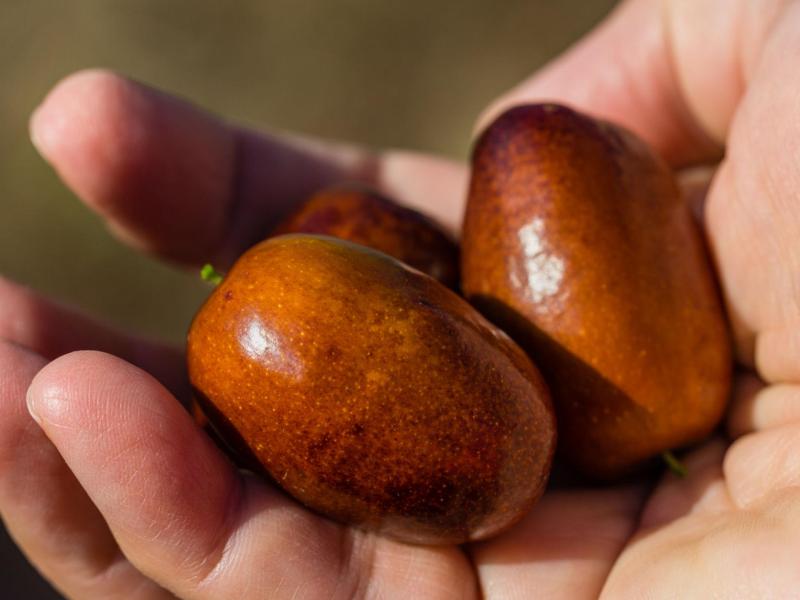 DYQi6dhtCA3hZWHMCFGffEzX2xsZqB3jyQSqcsfT9hnJ1EPGT3liYn5bfcWaxeO dUNGHcVy5cHSvWAbWSlutGNTf4N0OvO3 BaBeF7ha1s