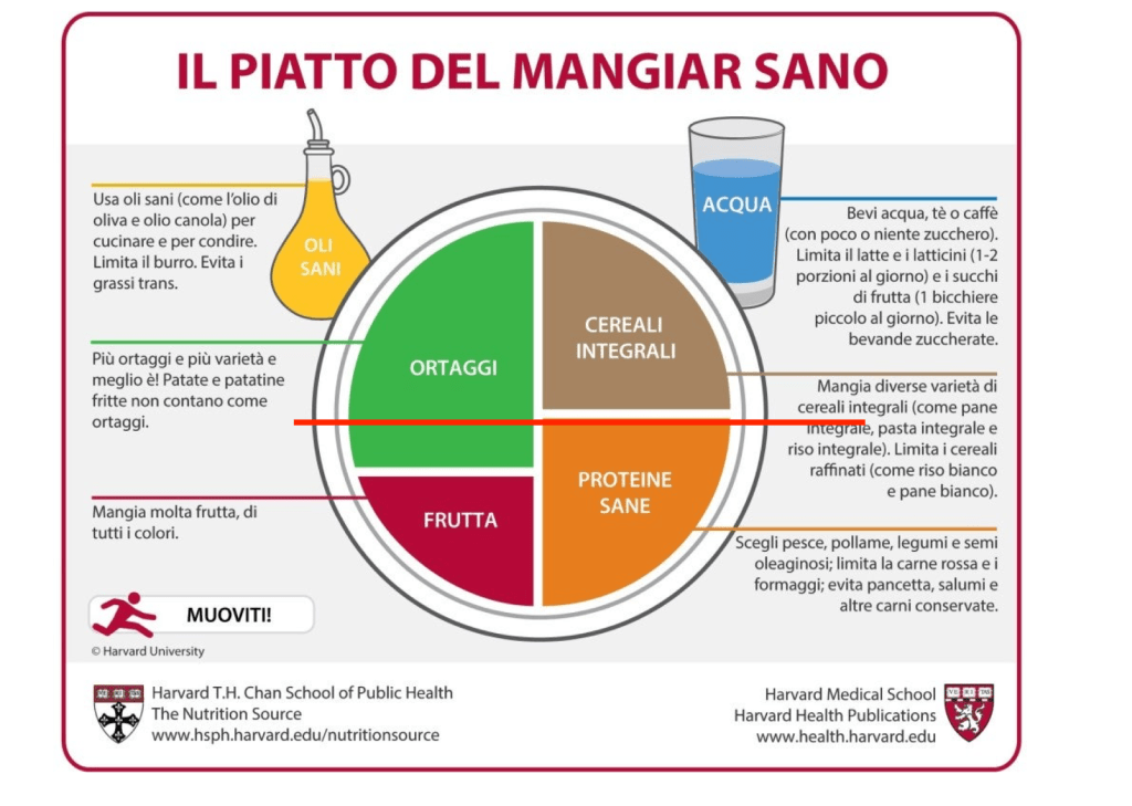 Il Piatto Unico Infographic illustrating the Healthy Eating Plate, emphasizing sections for vegetables, fruits, whole grains, healthy proteins, and water.