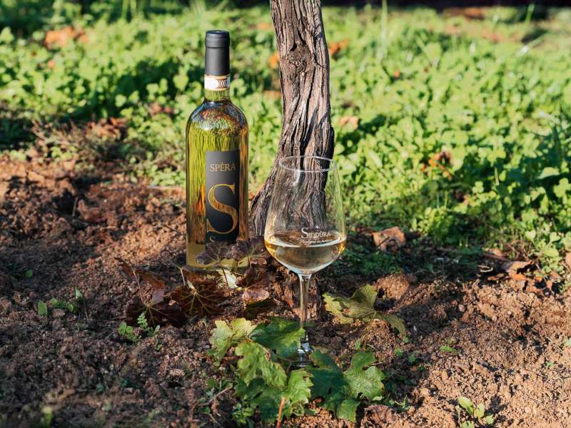 Spera Vermentino di Gallura DOCG cantina Siddura 2