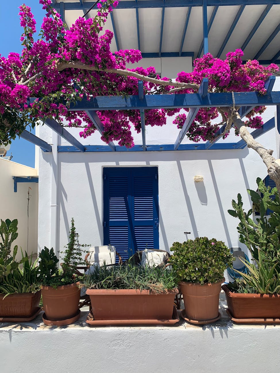 potted plants and flowers on the concrete wall in Mediterranean Lifestyle 