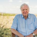Un secolo di meraviglia. David Attenborough compie 100 anni