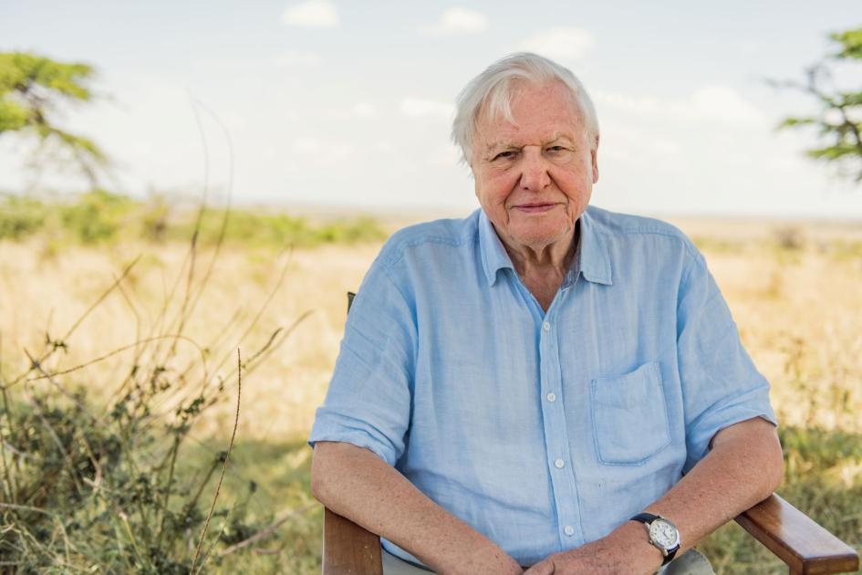 Un secolo di meraviglia. David Attenborough compie 100 anni