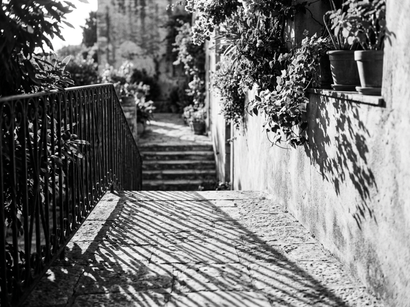 Sunlit stone pathway with shadows of metal railings and plants on the wall and ground